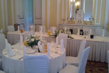 pałac - Pałac w Jabłonnie - Sala Kominkowa - zdjęcie 2