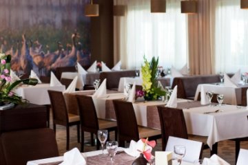 hotel **** - Hotel Platinum SPA & Business - Sala Restauracyjna - zdjęcie 1