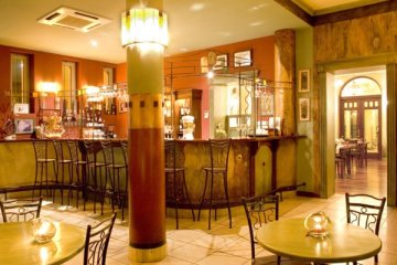 hotel - Hotel Villa Sedan - Sala Barowa - zdjęcie 1