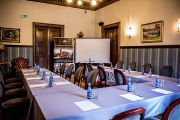 pałac - Pałac Wąsowo - Sala Hardt'a - zdjęcie 1