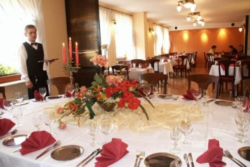 hotel *** - Hotel Żuławy - Zielona - zdjęcie 1
