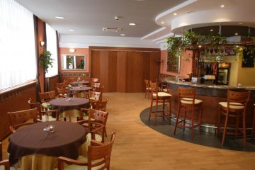 hotel - Dal Hotel - Restauracja - zdjęcie 13