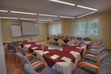 hotel - Hotel Orzeł Biały *** - Sala Konferencyjna - zdjęcie 1