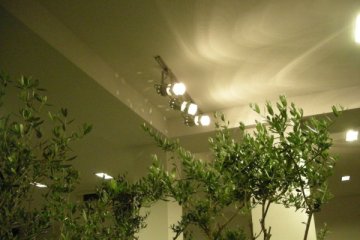 hotel - Hotel Polanin - Sala Czarno - Biała - zdjęcie 2