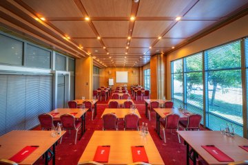 hotel **** - Hotel HP Park Plaza - Róża - zdjęcie 1