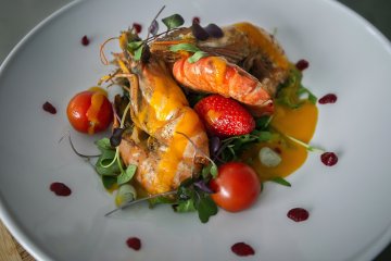 hotel *** - Hotel Ikar - Restauracja Szafran - zdjęcie 5