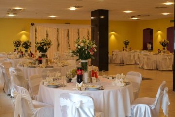 hotel *** - Ośrodek Szkoleniowo-Wypoczynkowy Wityng - Sala Marmurowa - zdjęcie 3