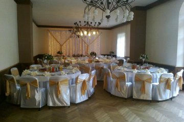 hotel *** - Ośrodek Szkoleniowo-Wypoczynkowy Wityng - Sala Pałacowa - zdjęcie 1