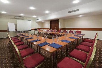 hotel *** - Warmiński Hotel & Conference - Sala Sosnowa - zdjęcie 1