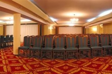 hotel *** - Dom Handlowy Hotel-Restauracja „Janusz” - Sala 1 - zdjęcie 1