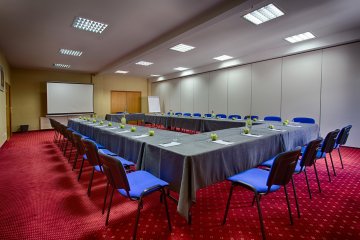 hotel *** - Hotel Kuźnia Napoleońska - Sala Szmaragdowa - zdjęcie 2