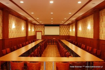 hotel *** - Hotel Bosman - Sala Kwiatowa (108 m^2) - zdjęcie 2