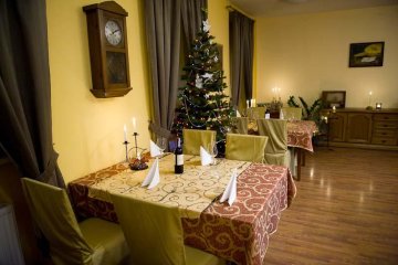 hotel *** - Hotel i Restauracja Arkadia - Sala VIP - zdjęcie 1