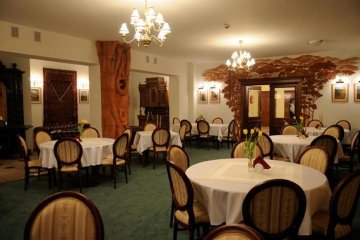 hotel *** - Hotel & Restauracja Salamandra - Sala Kominkowa - zdjęcie 1