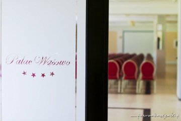 pałac - Pałac Wąsowo - Sala Parkowa - część II Bukowa - zdjęcie 1