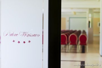 pałac - Pałac Wąsowo - Sala Parkowa - część III Lipowa - zdjęcie 1