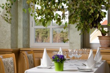 hotel **** - Hotel Habenda **** - Restauracja - zdjęcie 5