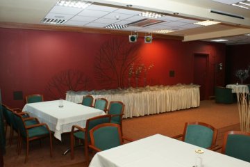 hotel *** - Hotel Rychło - Sala nr 1 – Cafe er - zdjęcie 3