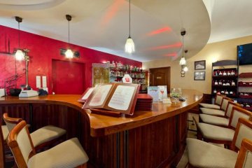 hotel **** - ARTIS **** Hotel & Spa - Restauracyjna - zdjęcie 1