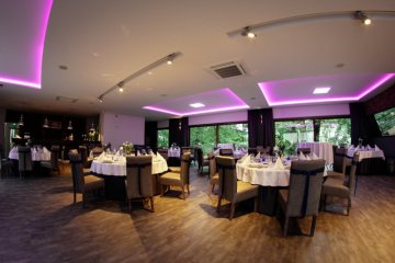 dworek - Dwór Kolesin - centrum konferencyjno rekreacyjne - Sala Restauracyjna - zdjęcie 2