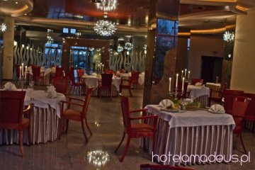 hotel **** - Hotel Amadeus Wodzisław Śląski - Sala Restauracyjna - zdjęcie 3