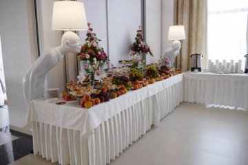 hotel *** - Hotel Aleksandria*** - Sala Bankietowa - zdjęcie 2