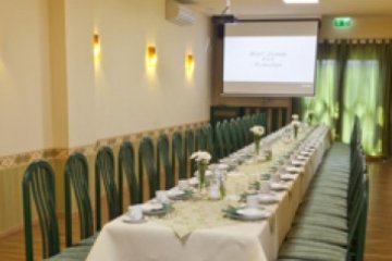 hotel - Centrum Konferencyjno-Hotelowe i Sala Weselna Lech Godlewski - Sala nr 1 - zdjęcie 1