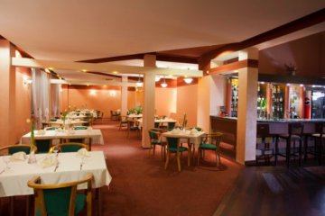 hotel *** - Hotel Albatros*** - Sala Bankietowa - zdjęcie 1