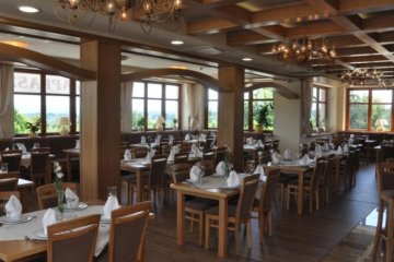 hotel *** - Hotel Alpejski Polanica Zdrój - Restauracja - zdjęcie 14
