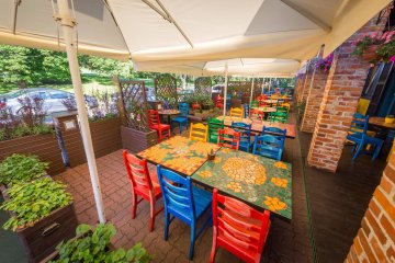 inny - Restauracja Blue Cactus - Ogród - zdjęcie 1