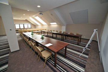 pałac - Pałac w Konarach - Sala Piaskowa - zdjęcie 5