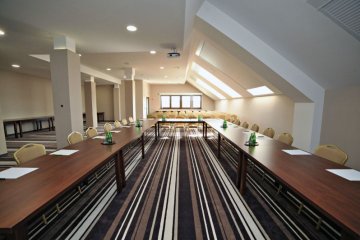 pałac - Pałac w Konarach - Sala Piaskowa - zdjęcie 7