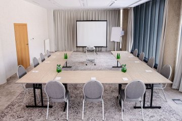 obiekt konferencyjny - EVA Park Life & SPA - Konstancin-Jeziorna - Sala konferencyjna "Tężnia" - zdjęcie 1