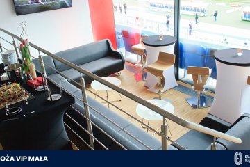 obiekt konferencyjny - Stadion Śląski - Sala VIP Mała - zdjęcie 3