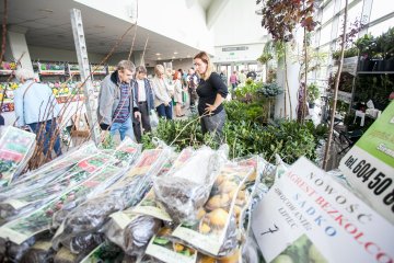 obiekt konferencyjny - Bydgoskie Centrum Sportu - konferencje i szkolenia - Hala Immobile Łuczniczka - zdjęcie 3