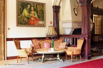 pałac - Pałac Wąsowo - Sala Kominkowa - zdjęcie 2