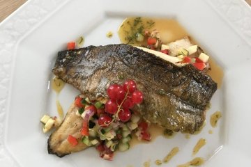 pałac - Pałac Godętowo - RESTAURACJA - zdjęcie 4