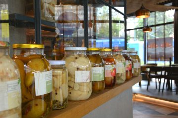 hotel **** - Aparthotel Lwowska 1 - Zielonym do góry - zdjęcie 6