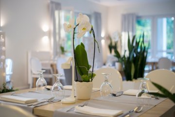 hotel *** - HOTEL FALCON *** - Restauracja - zdjęcie 4