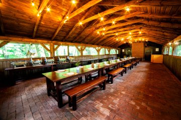 hotel *** - Hotel *** Dworek Wapionka - Kuźnia Grill - zdjęcie 2
