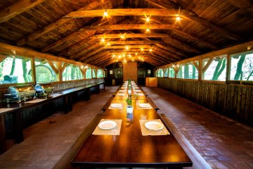 hotel *** - Hotel *** Dworek Wapionka - Kuźnia Grill - zdjęcie 3