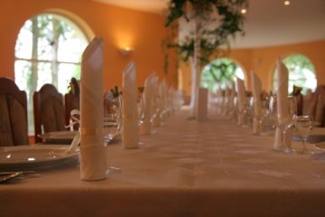 hotel *** - Hotel Bismarck - Sala Restauracyjna - zdjęcie 1