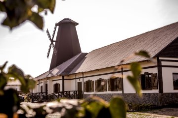 pałac - Pałac Wąsowo - Sala Wiatrak - zdjęcie 1