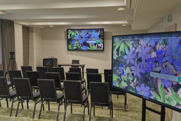 hotel - Enklawa Białowieska Forest&Spa - Sala konferencyjna "Bawidło" - zdjęcie 1