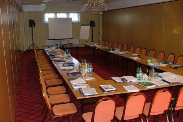 hotel *** - U Pietrzaków - Sala Bankietowa - zdjęcie 2