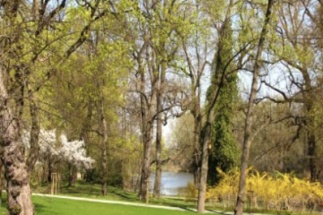 pałac - Pałac w Wilanowie - Park Angielski - zdjęcie 1