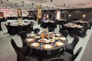 hotel *** - Puławska Residence Hotel*** - Ursynów+Praga+Wawer - zdjęcie 2