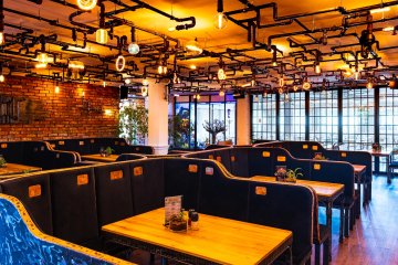 hotel *** - Hotel na Błoniach - Restauracja/Browar Wirtuozeria - zdjęcie 10