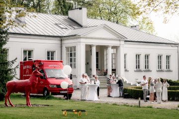 pałac - Pałac Żółwin - Park - zdjęcie 3