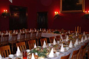 pałac - Pałac w Kobylnikach - Sala Kominkowa - zdjęcie 1